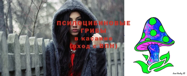 крисы Белоозёрский