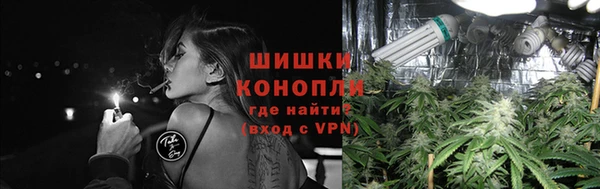крисы Белоозёрский
