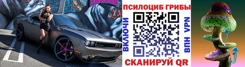 Псилоцибиновые грибы прущие грибы  Купить  Тавда 