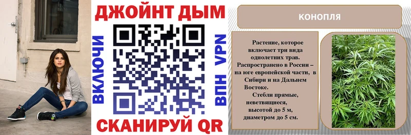 Конопля планчик  Купить закладки  Тавда 